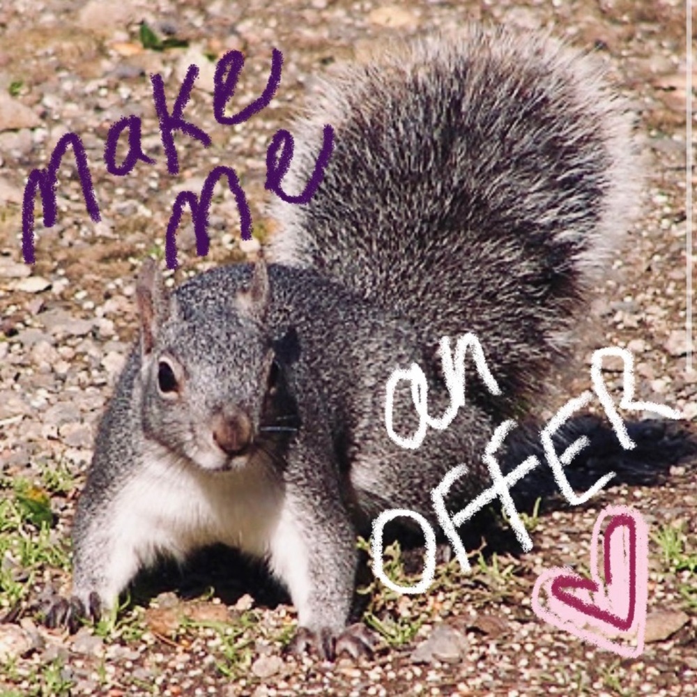 🐿 He may counter, but he doesn’t bite!